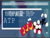 人教版2025高中生物必修一5.2细胞的能量“货币”ATP  课件