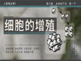 人教版2025高中生物必修一6.1细胞的增殖 课件