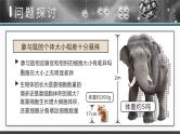人教版2025高中生物必修一6.1细胞的增殖 课件