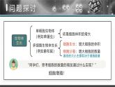 人教版2025高中生物必修一6.1细胞的增殖 课件
