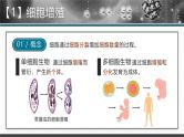人教版2025高中生物必修一6.1细胞的增殖 课件