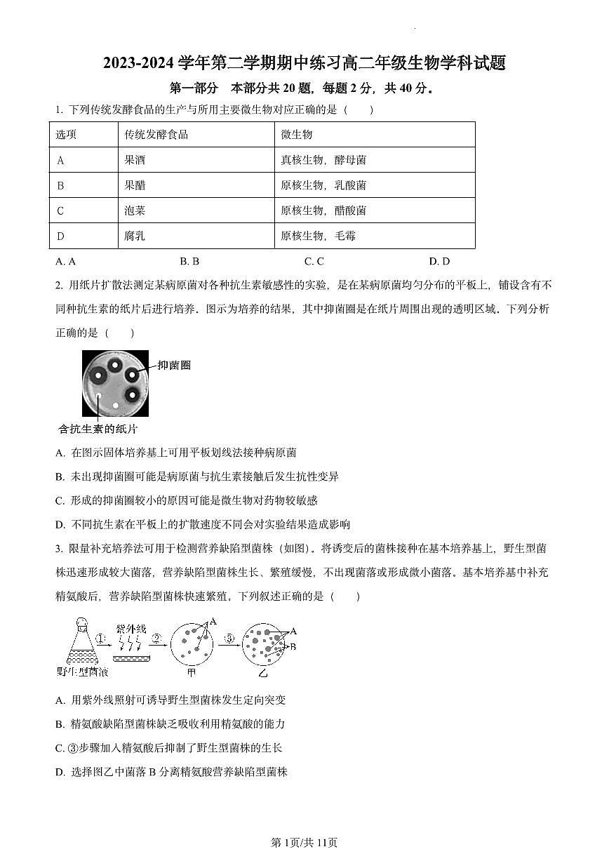 北京市十一学校2023-2024学年高二下学期期中考试生物试题（原卷版）第1页