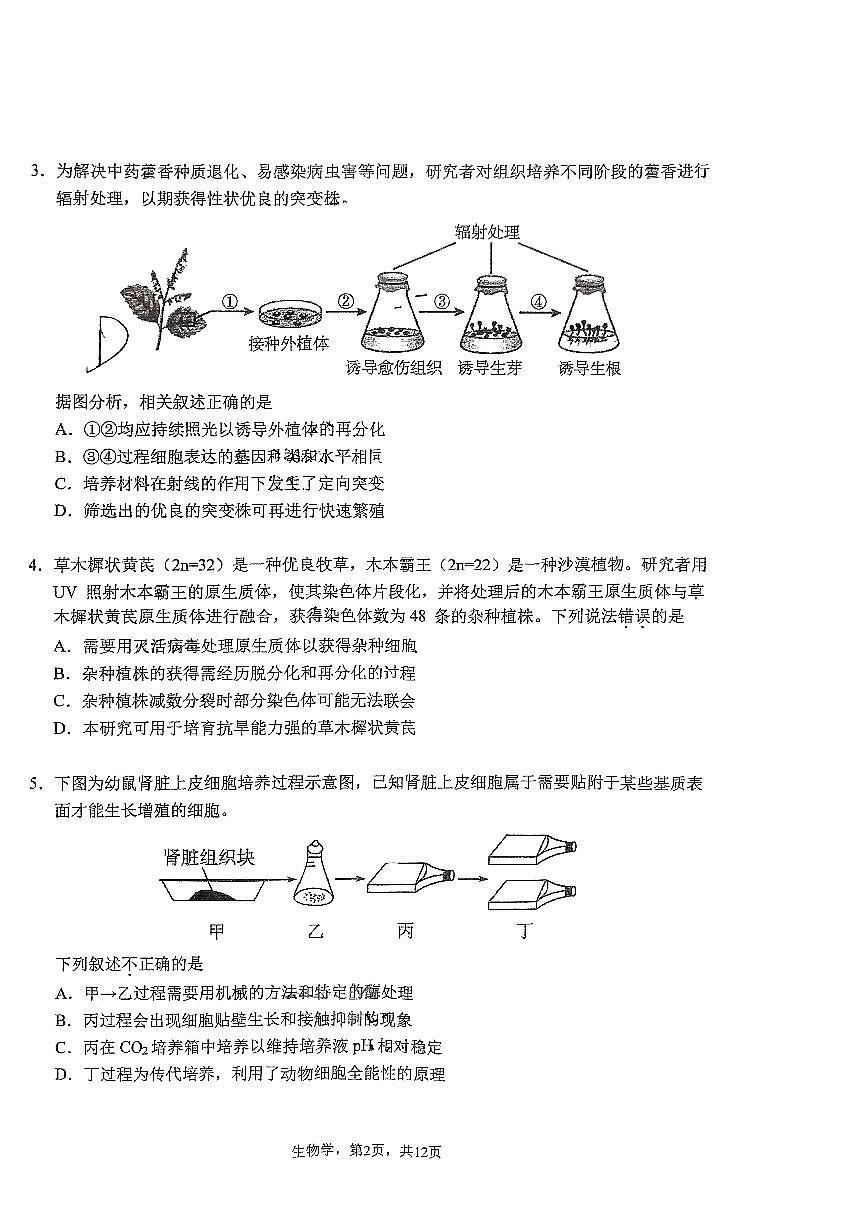 2024北京人大附中高二（下）期中生物试卷（无答案）第2页