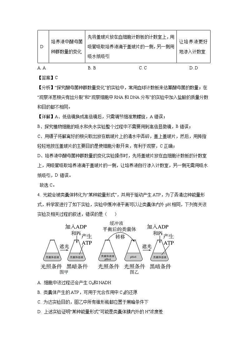 新疆维吾尔自治区2024-2025学年普通高考适应性检测分学科第二次模拟考试生物试卷（解析版）第3页