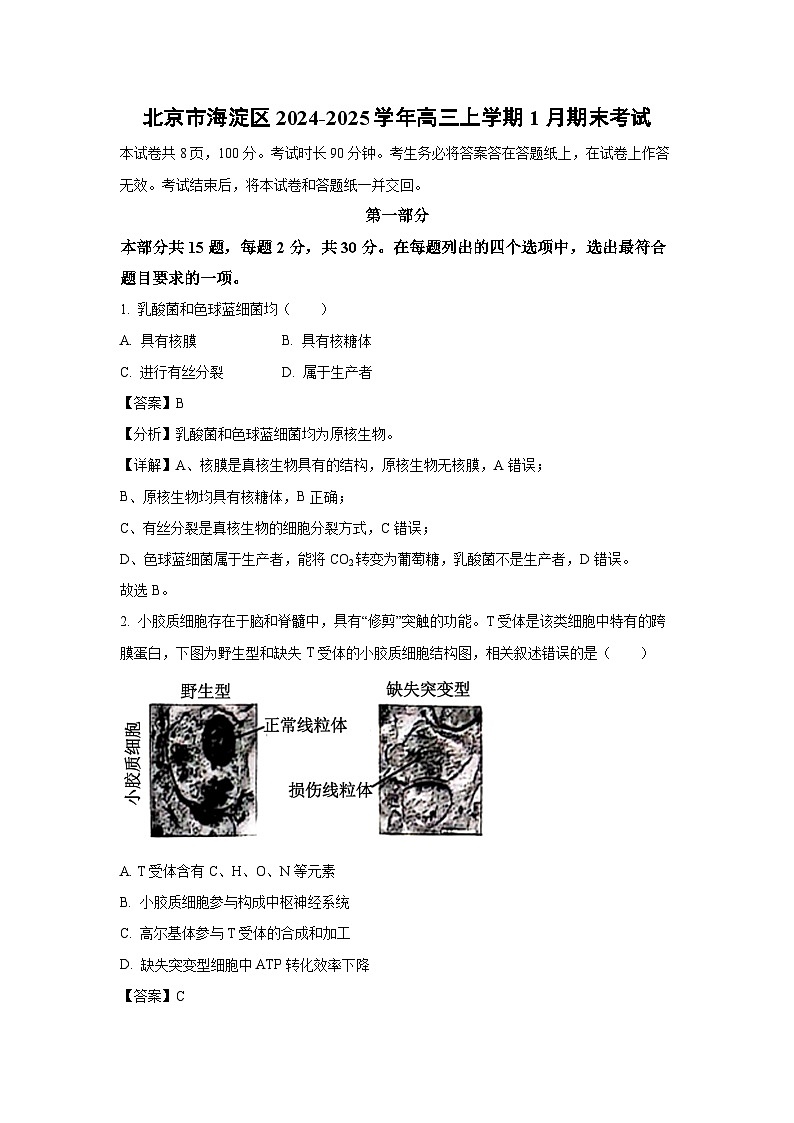 北京市海淀区2024-2025学年高三上学期1月期末考试生物试卷（解析版）第1页
