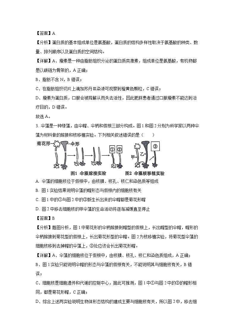 2024~2025学年四川省眉山市彭山区第一中学高一下学期开学考试生物试卷（解析版）第2页
