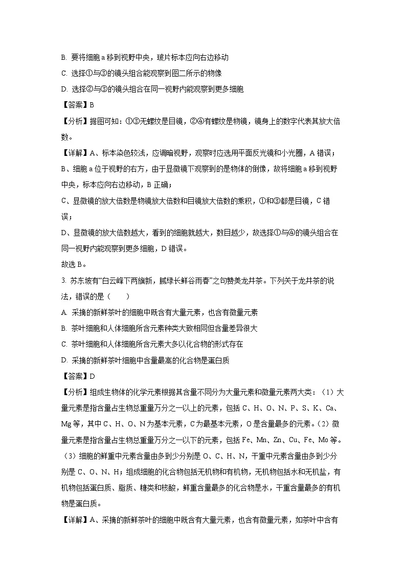 2024~2025学年广东省汕头市澄海区高一上学期1月期末生物试卷（解析版）第2页