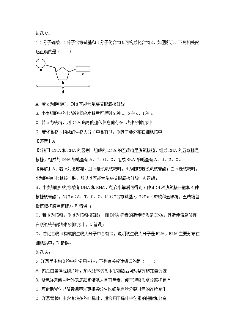 2024~2025学年山西省晋中市高一上学期期末调研测试生物试卷（解析版）第3页