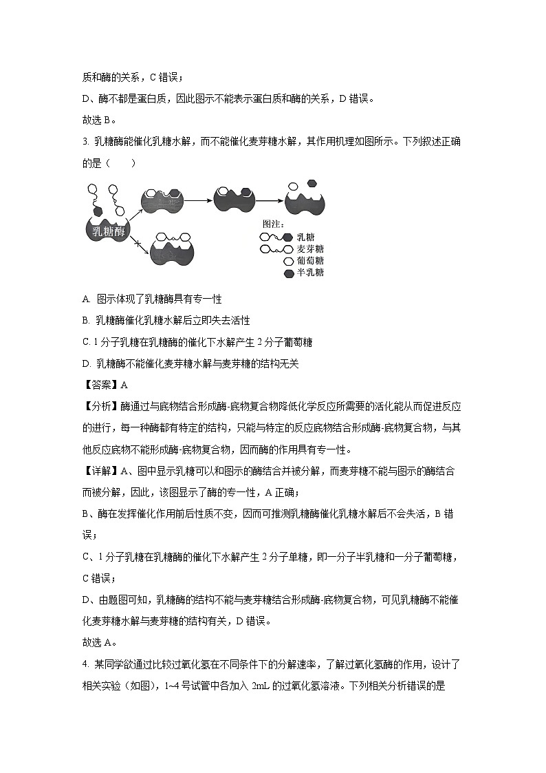 2024~2025学年山西省太原市高一上学期1月期末生物试卷（解析版）第2页
