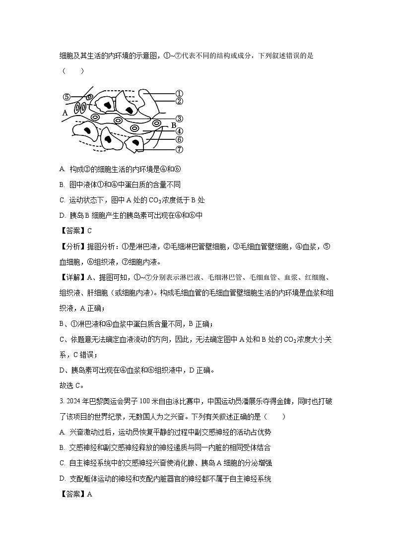 2024~2025学年山西省高二上学期1月期末生物试卷（解析版）第2页
