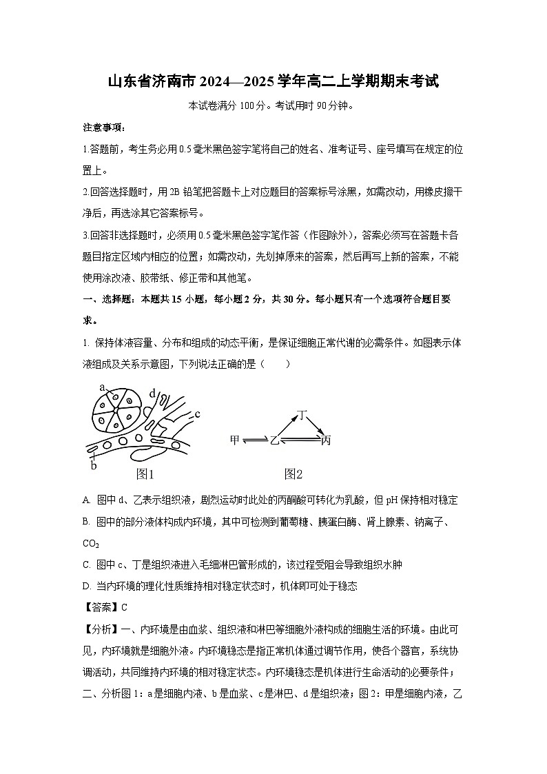 2024~2025学年山东省济南市高二上学期期末考试生物试卷（解析版）第1页
