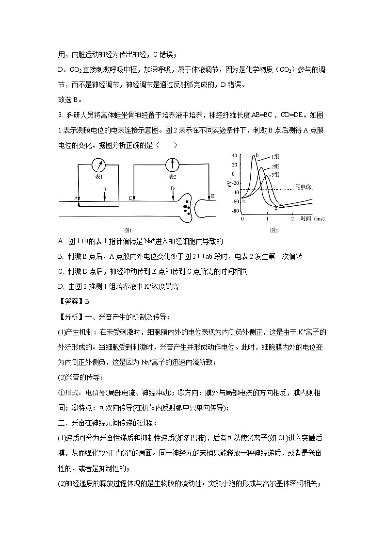2024~2025学年山东省济南市高二上学期期末考试生物试卷（解析版）第3页