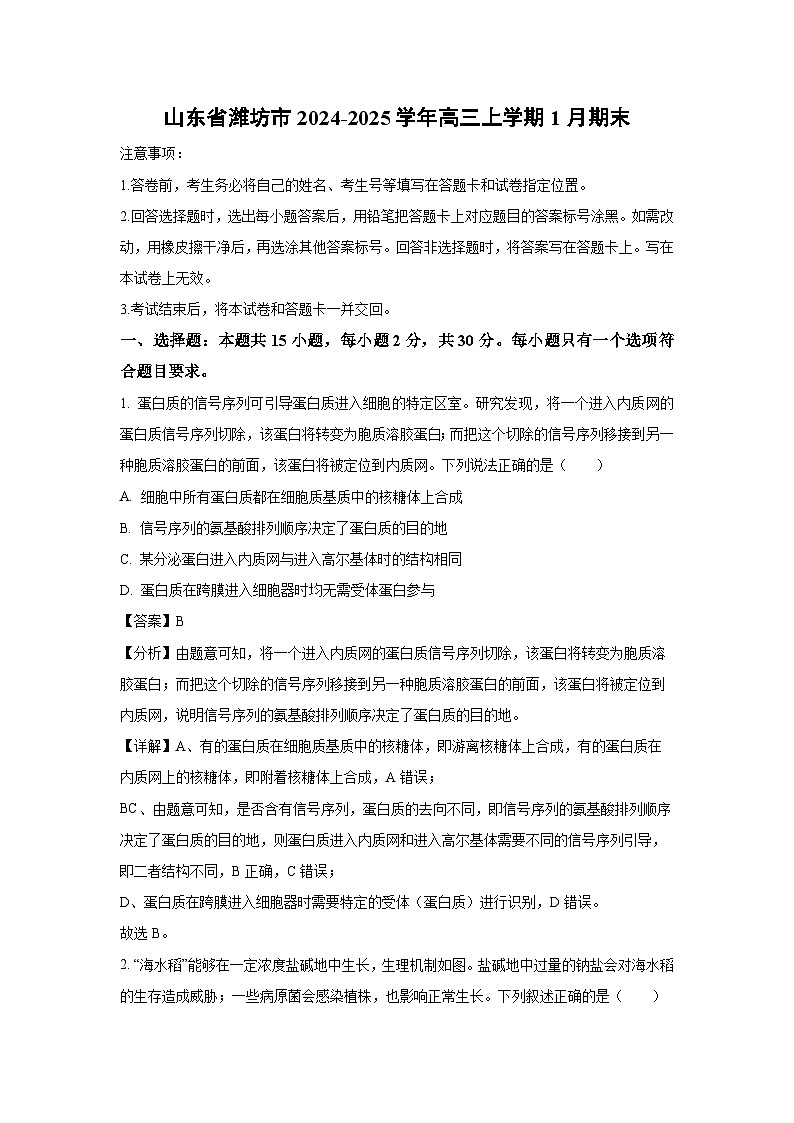 2024~2025学年山东省潍坊市高三上学期1月期末生物试卷（解析版）第1页