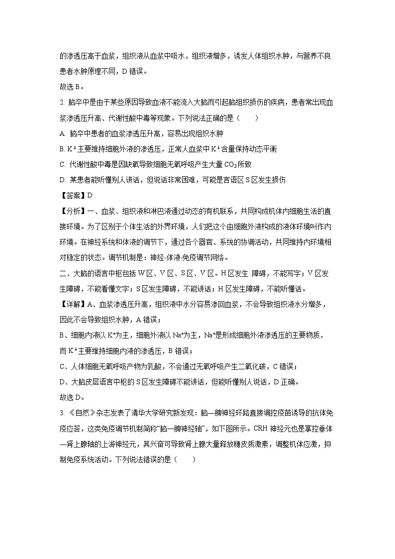2024~2025学年山东省泰安市高二上学期1月期末生物试卷（解析版）第2页