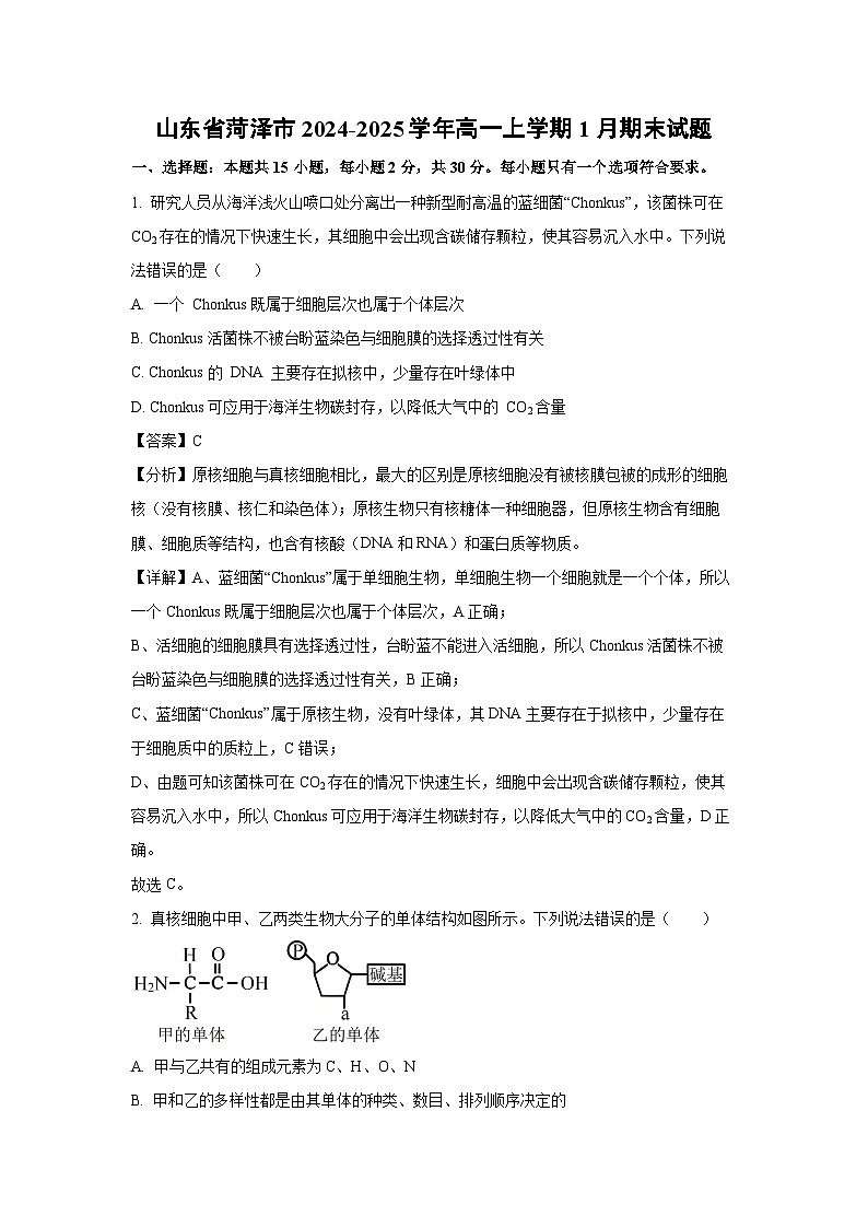 2024~2025学年山东省菏泽市高一上学期1月期末生物试卷（解析版）第1页