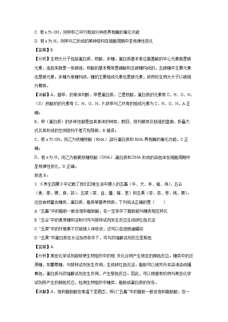 2024~2025学年山东省菏泽市高一上学期1月期末生物试卷（解析版）第2页