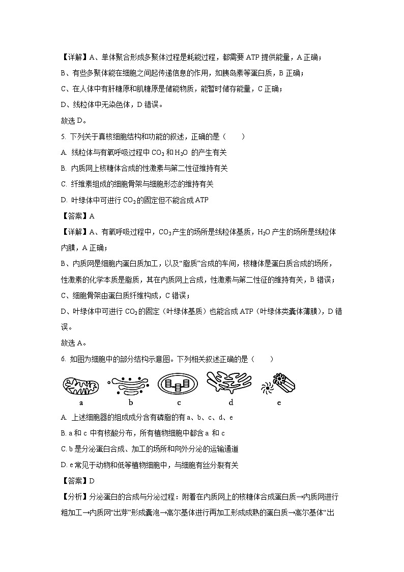 2024~2025学年安徽省蚌埠市高一上学期期末学业水平检测生物试卷（解析版）第3页