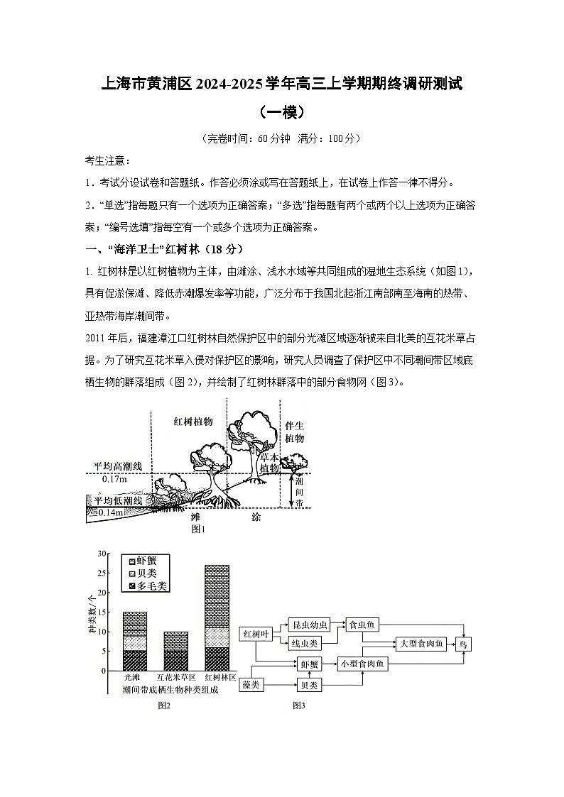 2024~2025学年上海市黄浦区高三上学期期终调研测试（一模）生物试卷（解析版）第1页