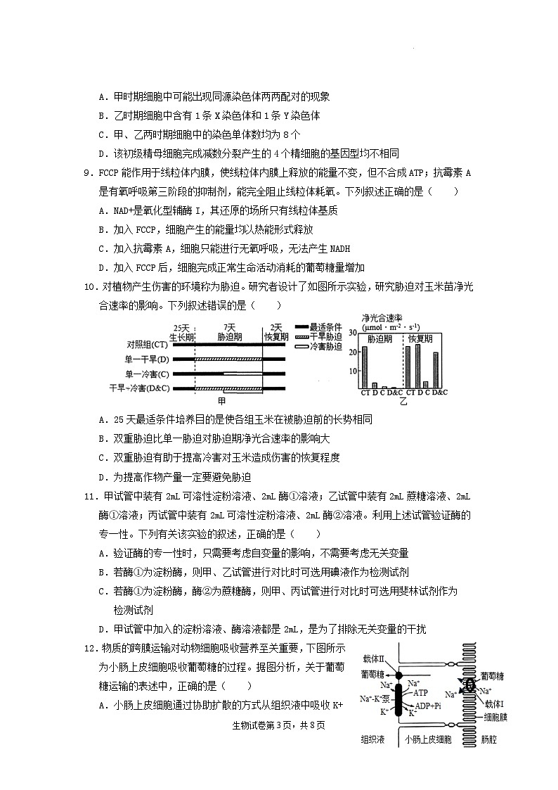 广东省广信中学2024-2025学年高三9月月考生物试题第3页