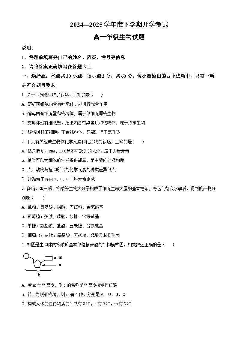 黑龙江省大庆市让胡路区大庆市大庆中学2024-2025学年高一下学期开学生物试题（原卷版+解析版）第1页