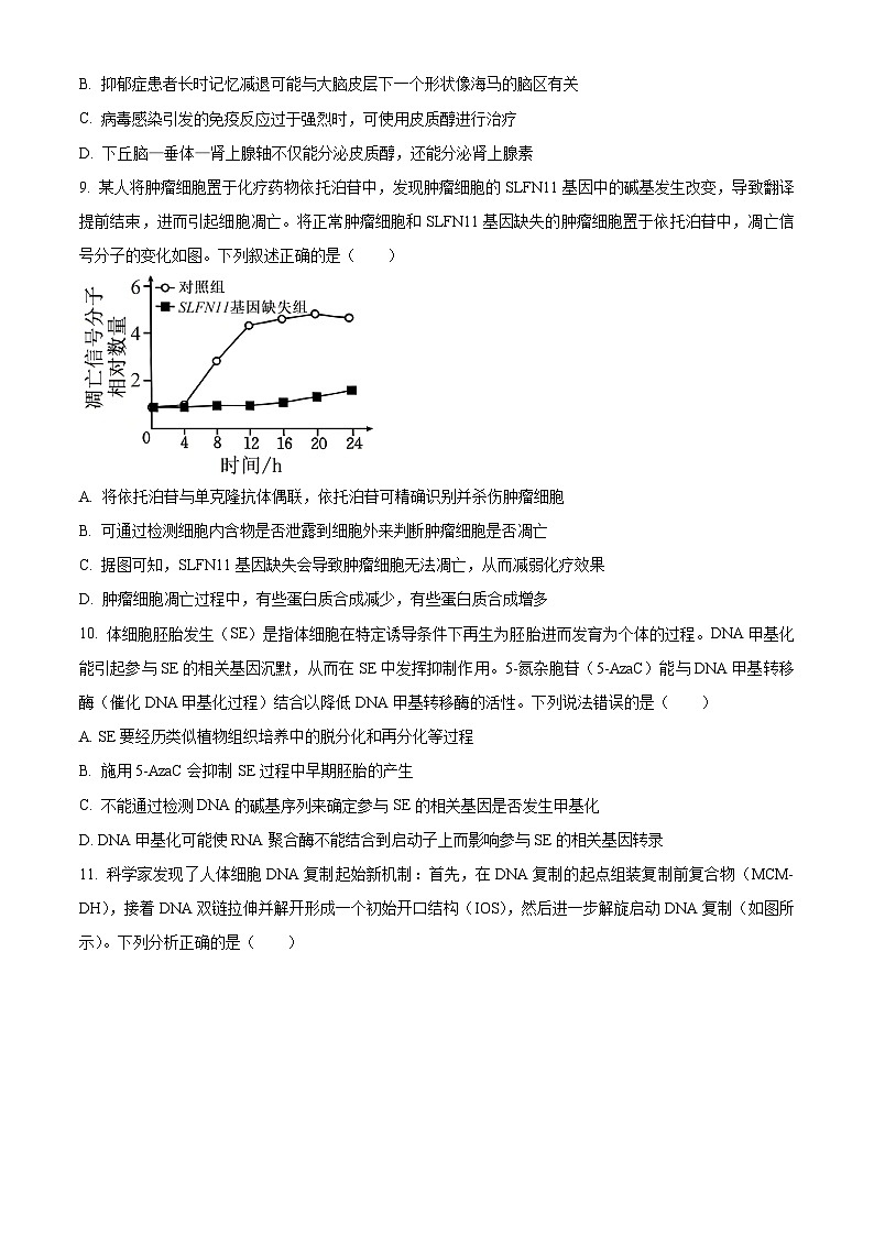 河北省邯郸市部分学校2024-2025学年高三下学期2月月考生物试题（原卷版+解析版）第3页