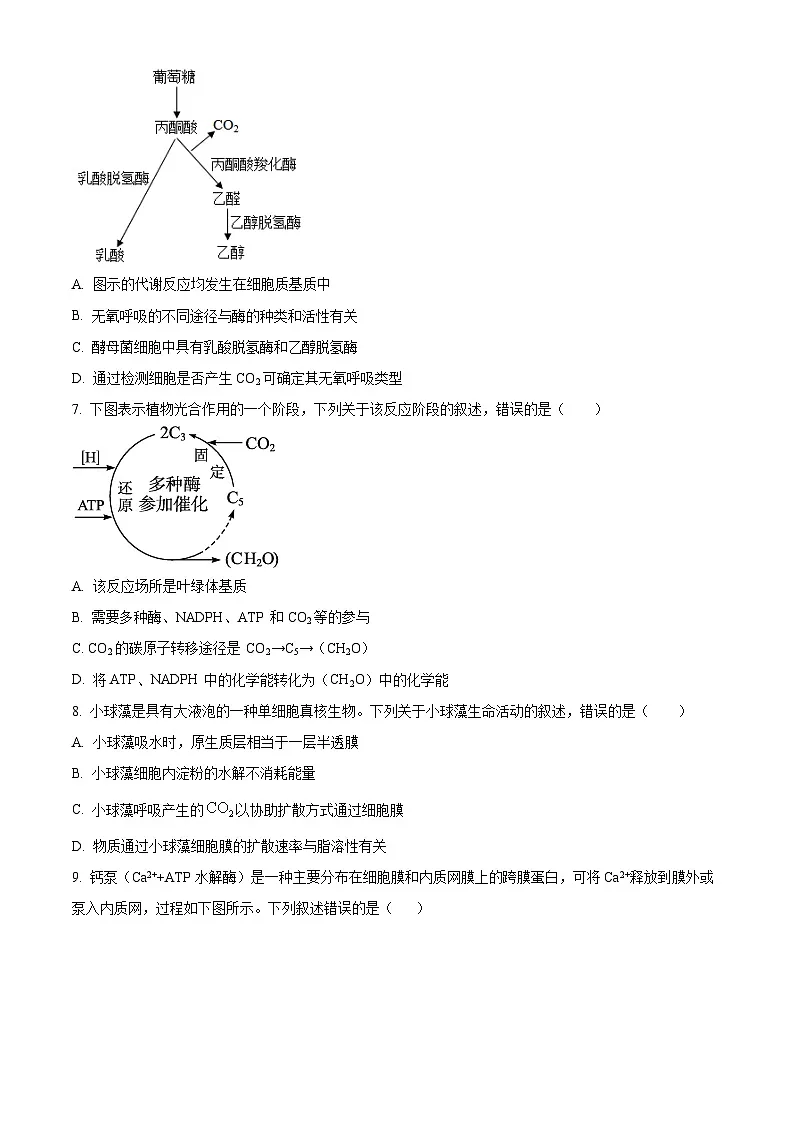 河南省驻马店市新蔡县新蔡县第一高级中学2024-2025学年高一下学期3月月考生物试题（原卷版+解析版）第3页