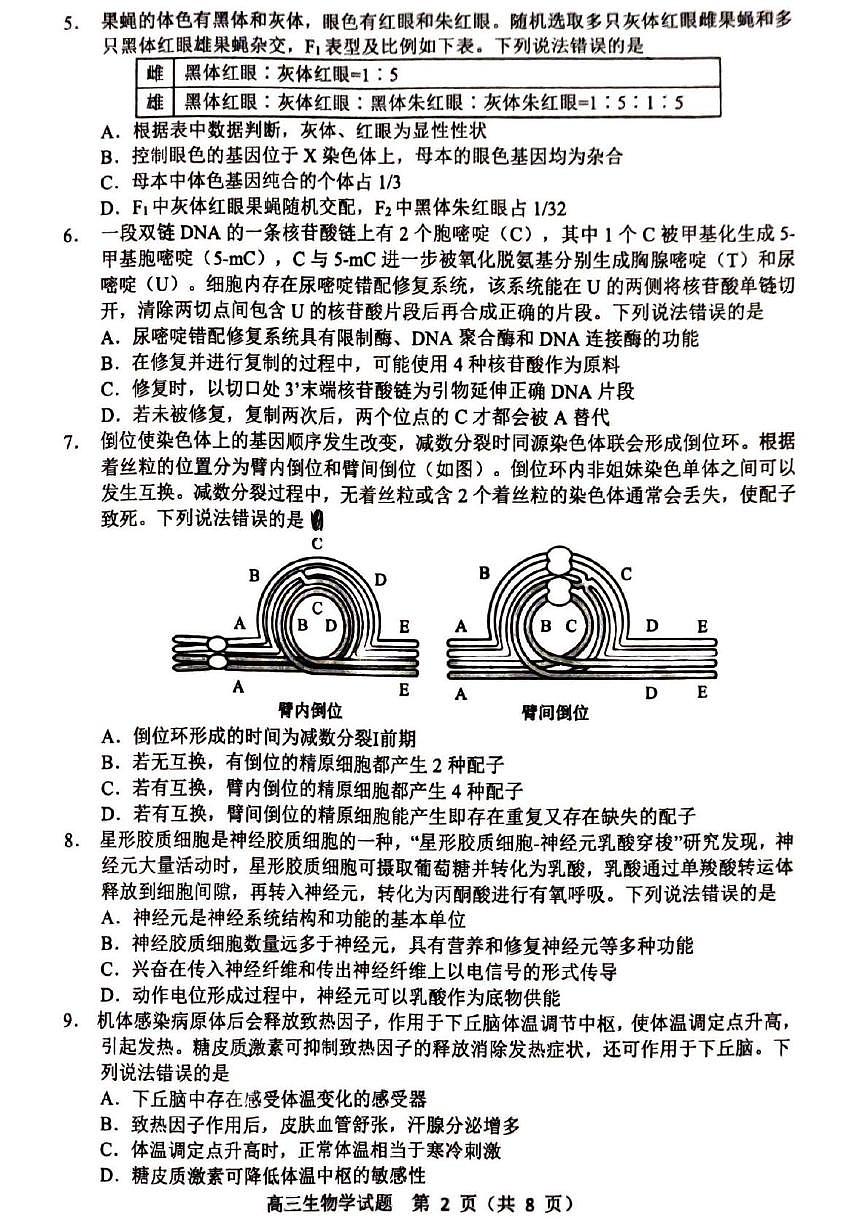山东省淄博市2025届高三下学期3月模拟考试（淄博一模）生物第2页