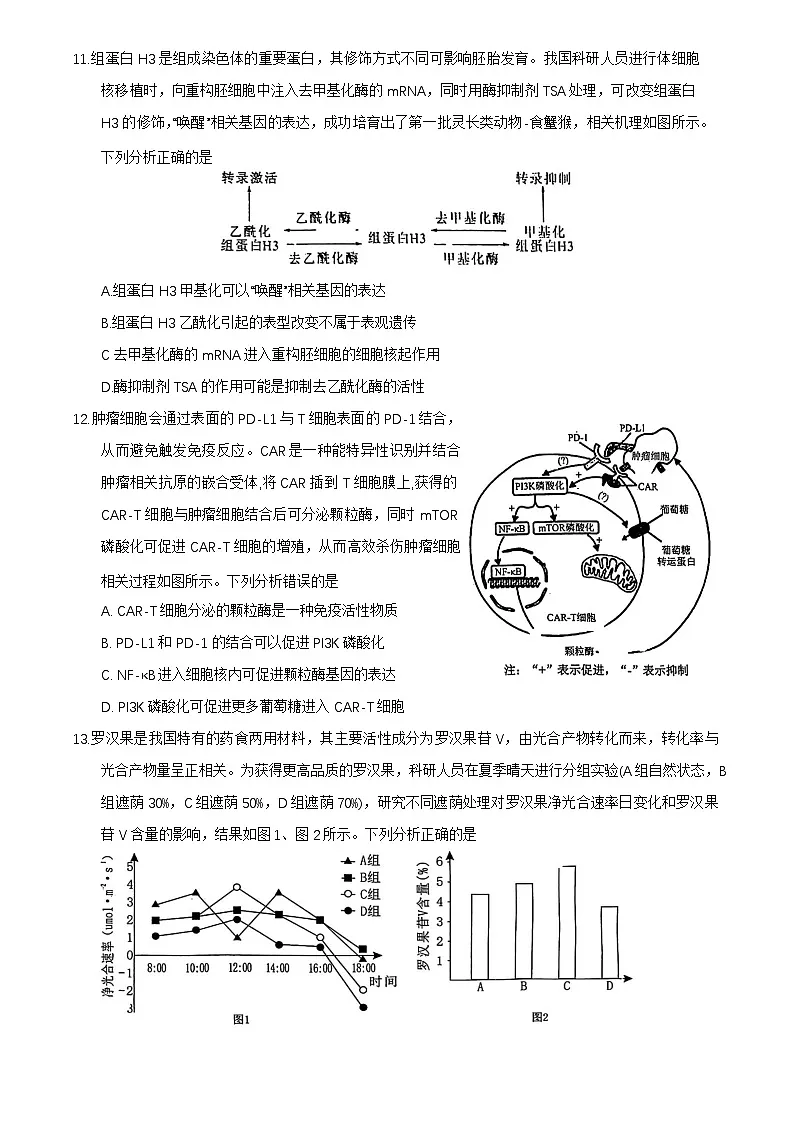 福建省莆田市2025届高中毕业班第二次教学质量检测生物学试卷（有答案）第3页