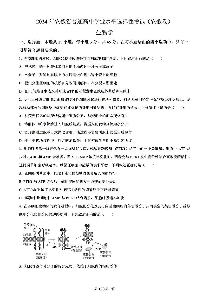 生物试题第1页