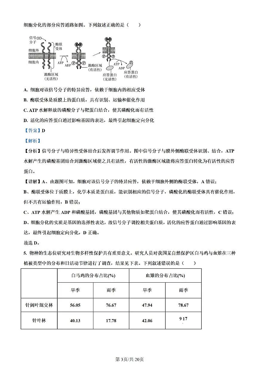 生物答案第3页