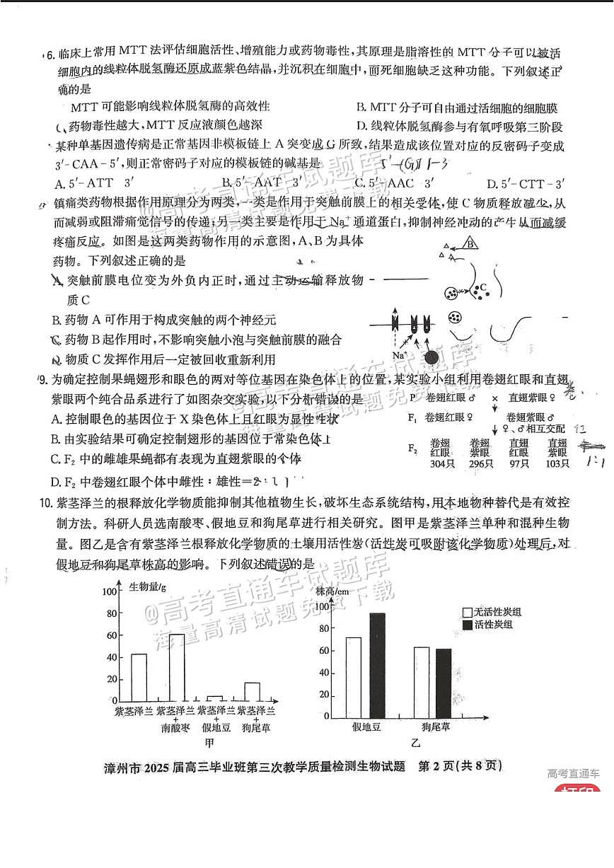 2025漳州高三下学期3月市质检【漳州三检】生物试题及答案第2页