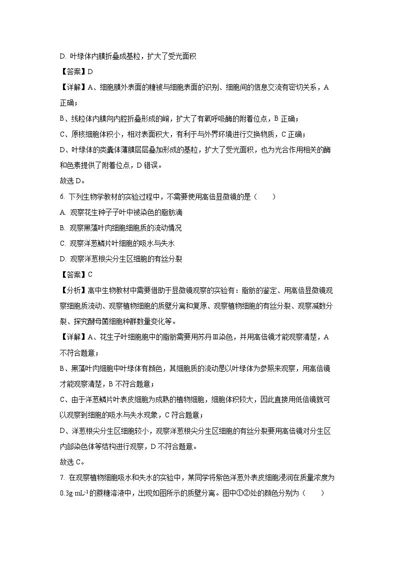 河北省部分学校2024-2025学年高一上学期1月期末生物试卷（解析版）第3页