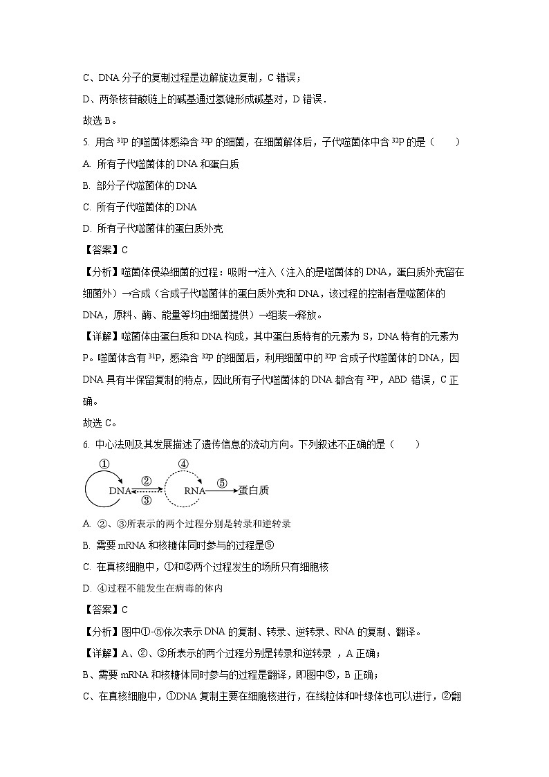 河北省2023-2024学年高一下学期期末考试生物试卷（解析版）第3页