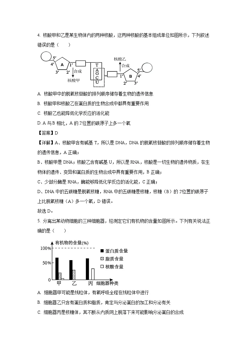 广东省潮州市潮安区2024-2025学年高一上学期期末考试生物试卷（解析版）第3页