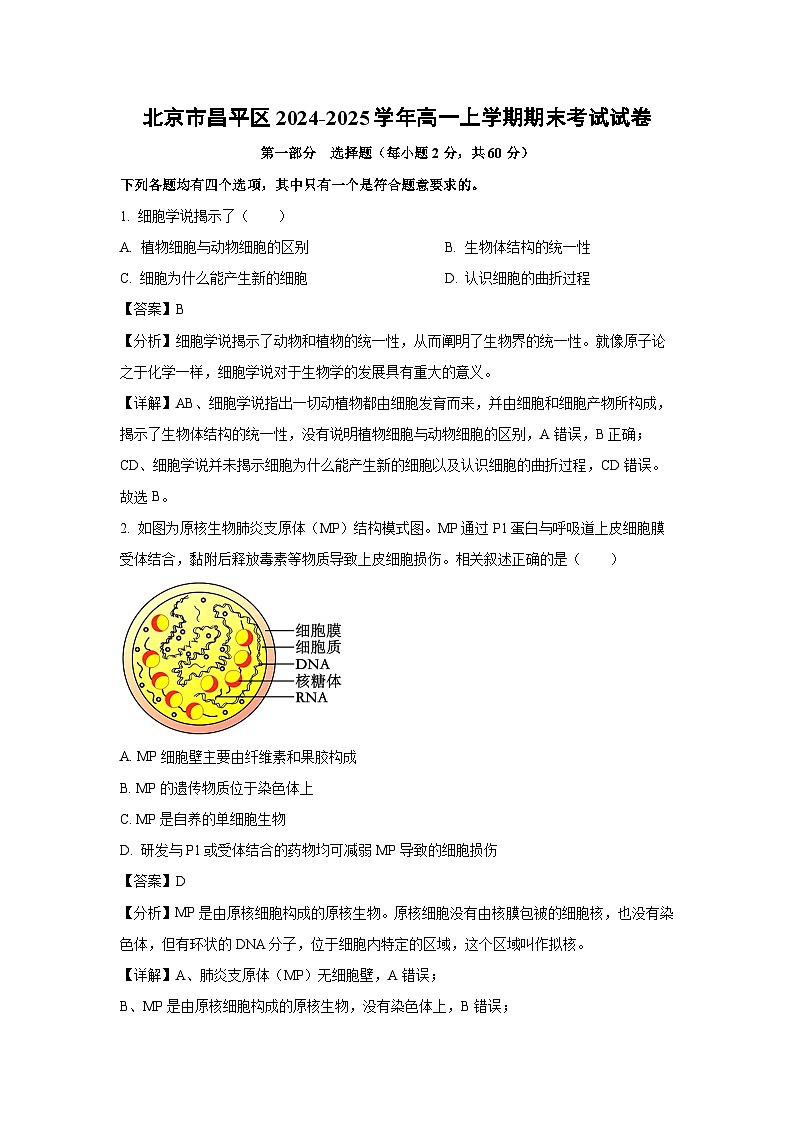 北京市昌平区2024-2025学年高一上学期期末考试生物试卷（解析版）第1页