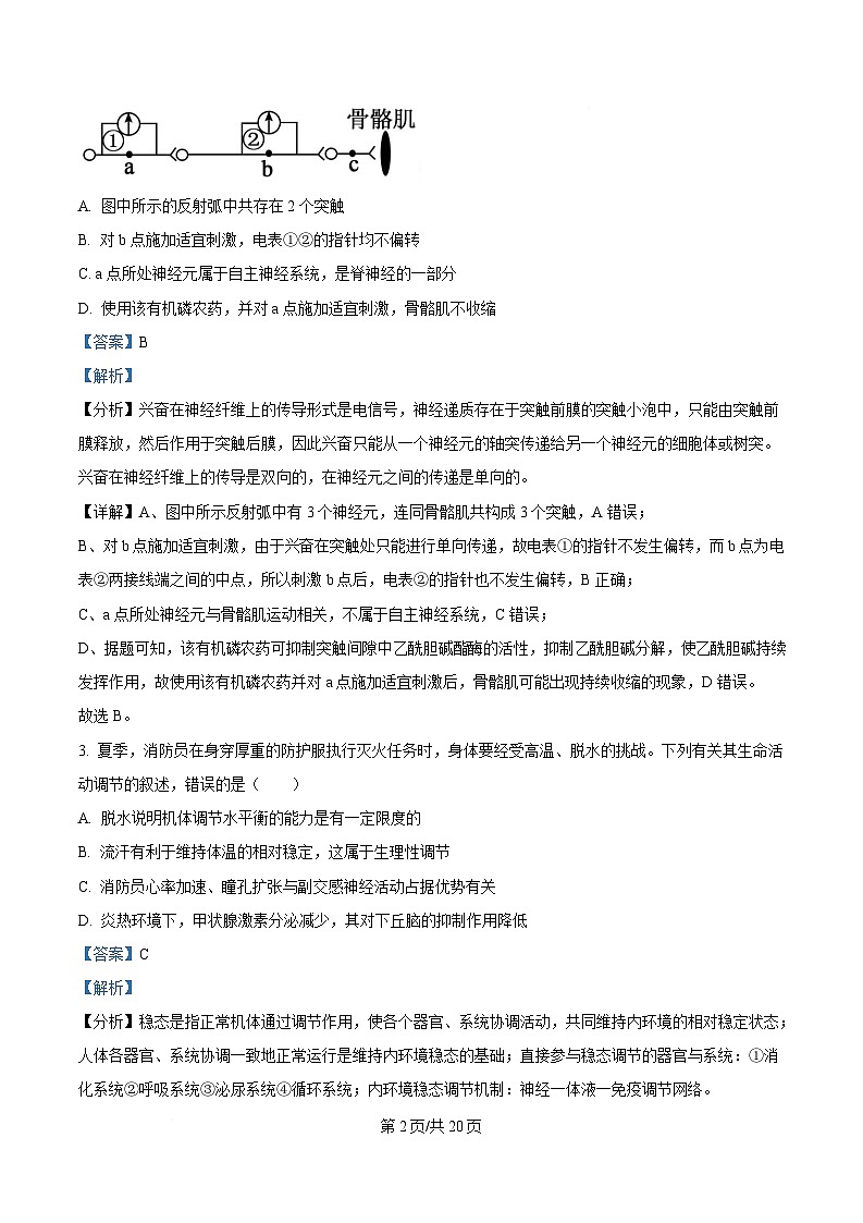 湖南省示范性高中2024-2025学年高二下学期2月联考生物试卷 Word版含解析第2页