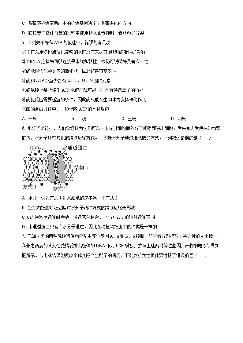云南省曲靖市2024-2025学年高三上学期第一次教学质量监测生物试题 Word版无答案第2页