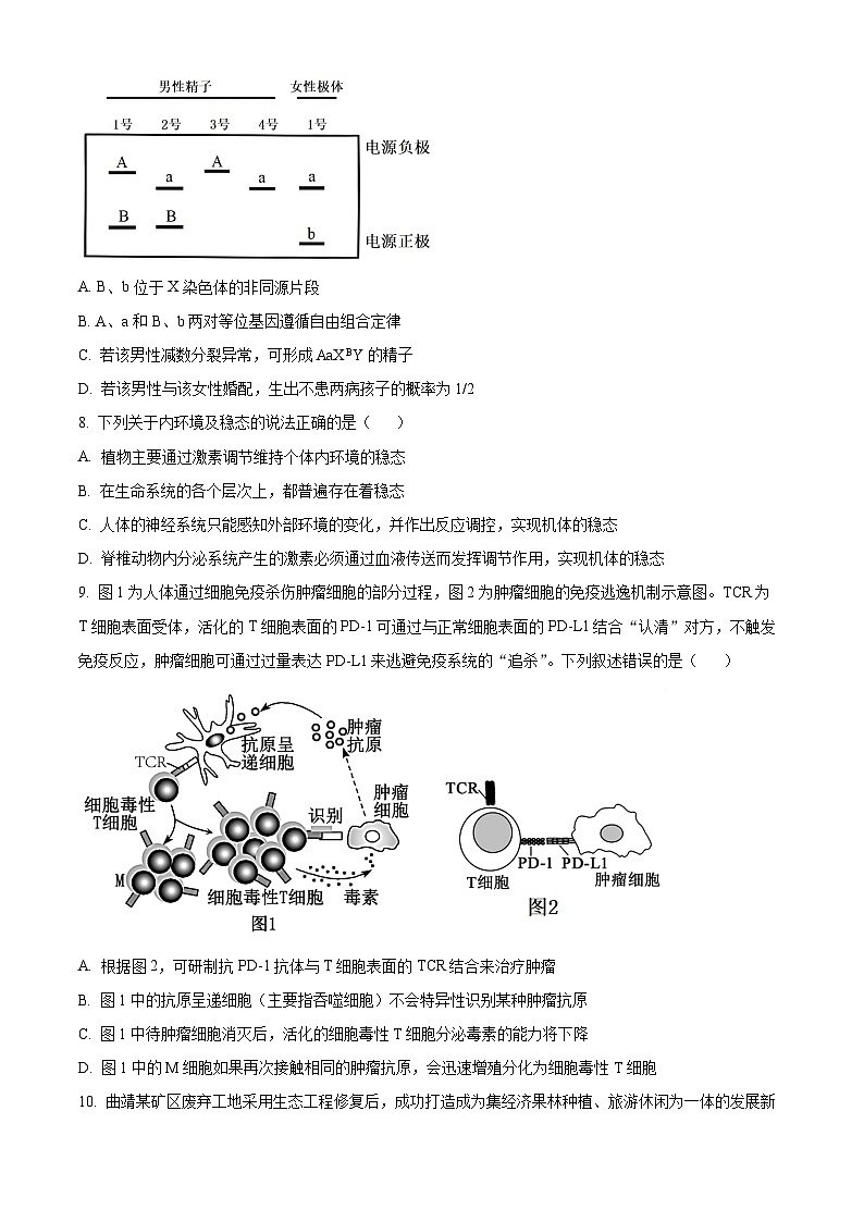 云南省曲靖市2024-2025学年高三上学期第一次教学质量监测生物试题 Word版无答案第3页