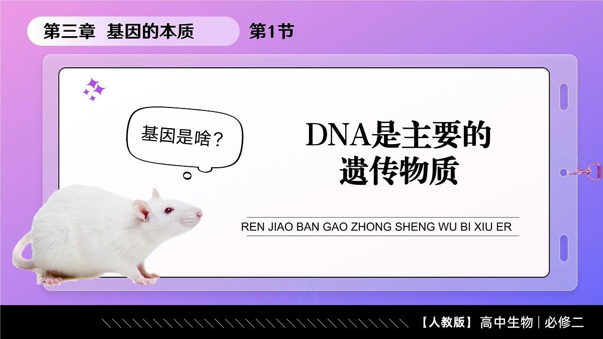 3.1  DNA是主要的遗传物质（教学课件）-2024-2025学年高一生物（人教版2019必修2）第1页