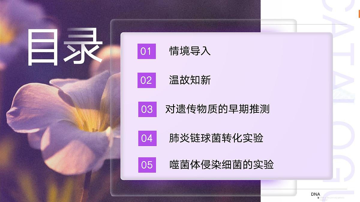 3.1  DNA是主要的遗传物质（教学课件）-2024-2025学年高一生物（人教版2019必修2）第2页