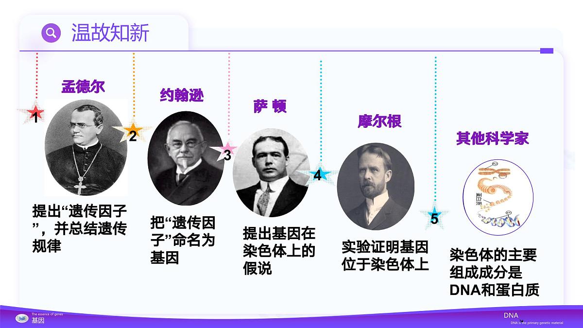 3.1  DNA是主要的遗传物质（教学课件）-2024-2025学年高一生物（人教版2019必修2）第4页