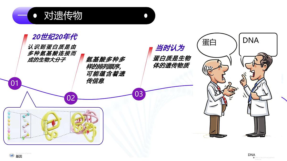 3.1  DNA是主要的遗传物质（教学课件）-2024-2025学年高一生物（人教版2019必修2）第5页