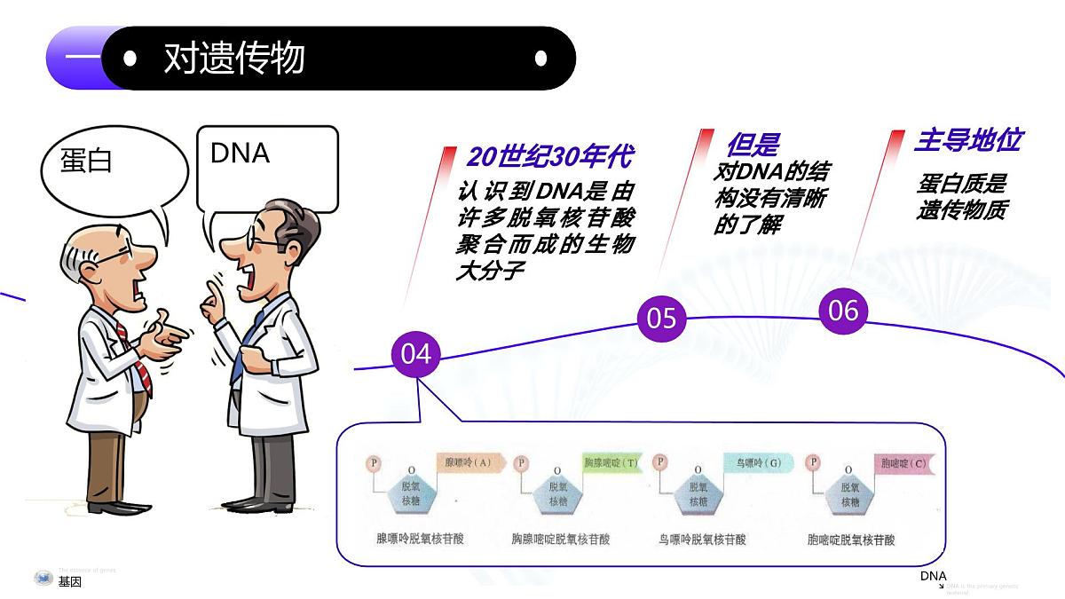 3.1  DNA是主要的遗传物质（教学课件）-2024-2025学年高一生物（人教版2019必修2）第6页