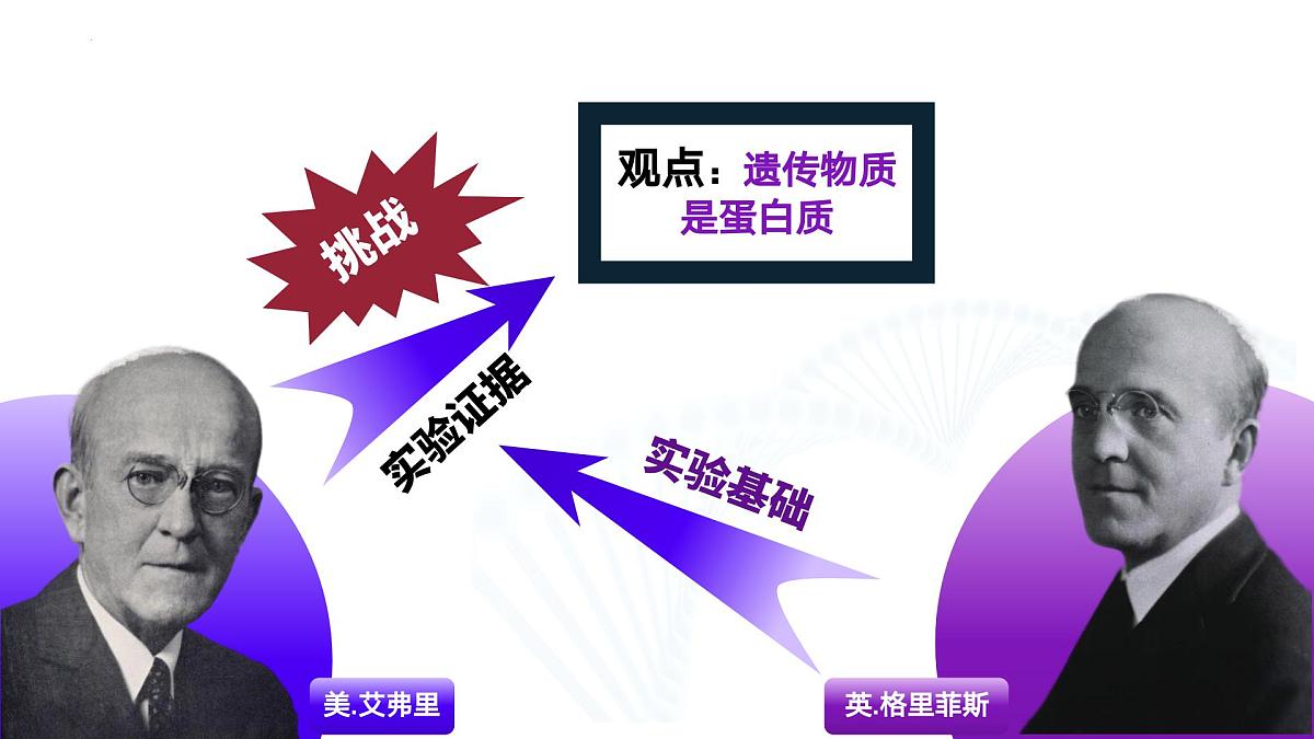 3.1  DNA是主要的遗传物质（教学课件）-2024-2025学年高一生物（人教版2019必修2）第7页