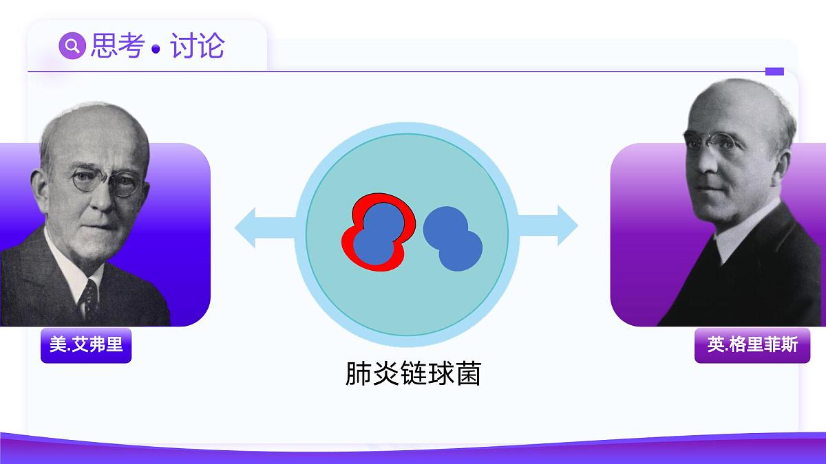 3.1  DNA是主要的遗传物质（教学课件）-2024-2025学年高一生物（人教版2019必修2）第8页