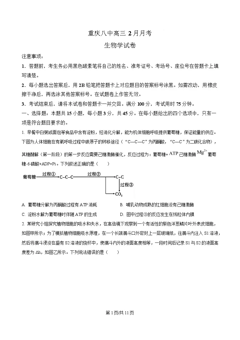 重庆市第八中学2024-2025学年高三下学期2月月考生物试题（原卷版）第1页