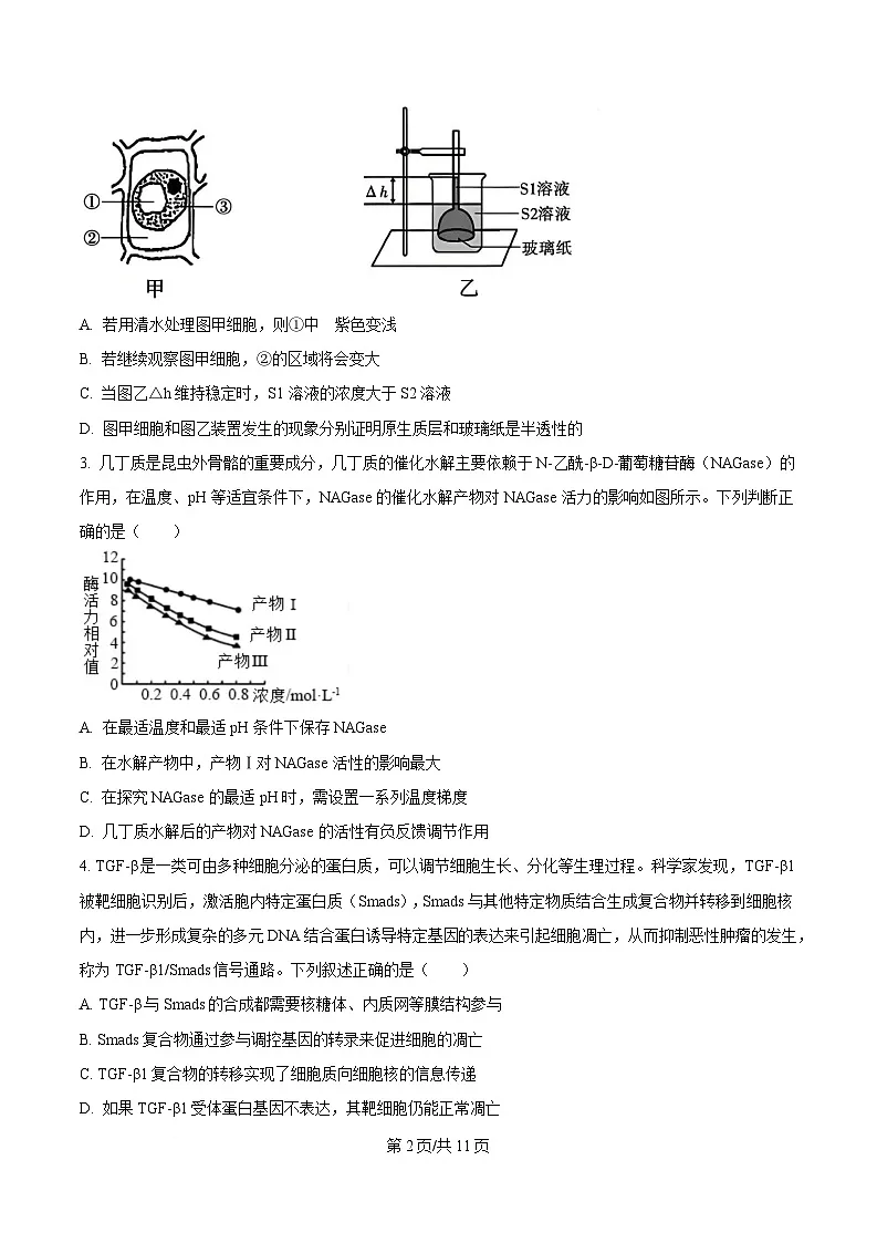 重庆市第八中学2024-2025学年高三下学期2月月考生物试题（原卷版）第2页