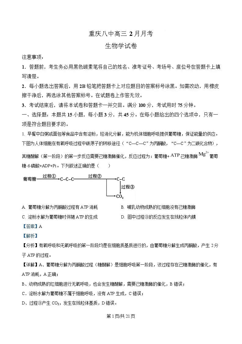 重庆市第八中学2024-2025学年高三下学期2月月考生物试题 Word版含解析第1页