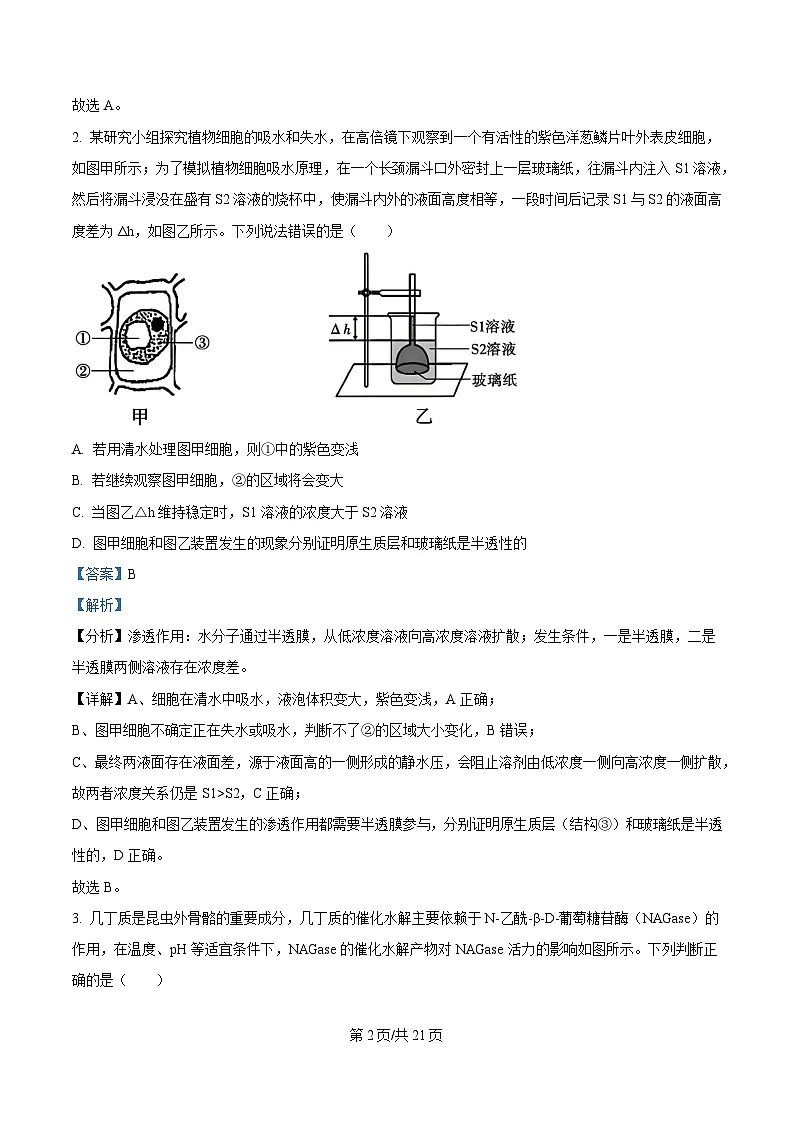 重庆市第八中学2024-2025学年高三下学期2月月考生物试题 Word版含解析第2页