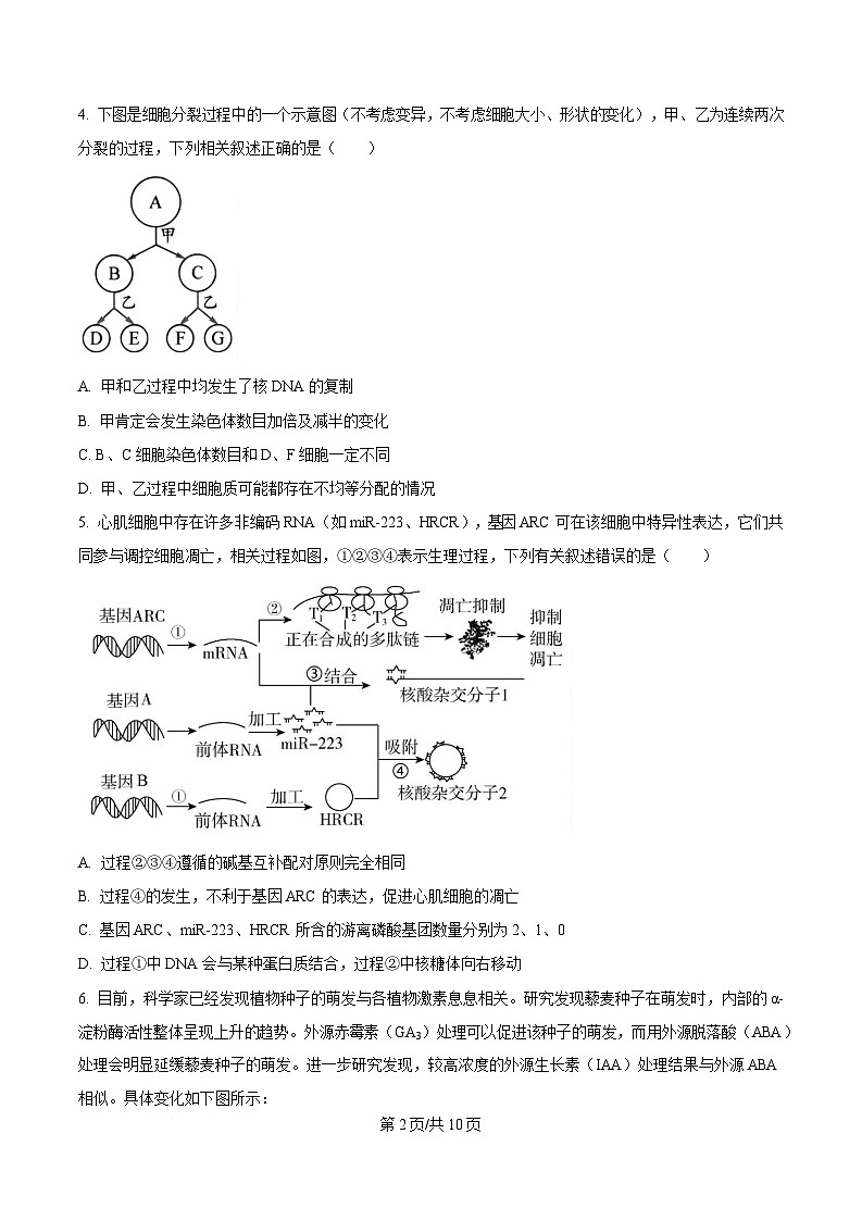 四川省广安第二中学2025届高三下学期二模生物试题（原卷版）第2页
